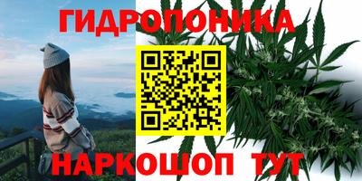сатива Ярославль