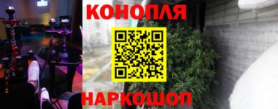 сатива Ярославль